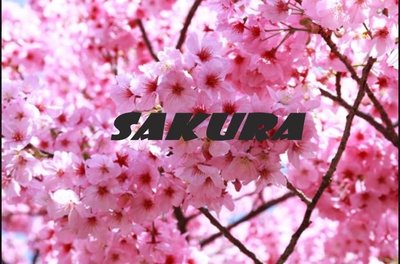 Trademark SAKURA MEDICAL MASK