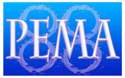 Trademark PEMA 88