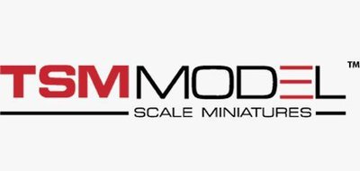 Trademark TSM MODEL