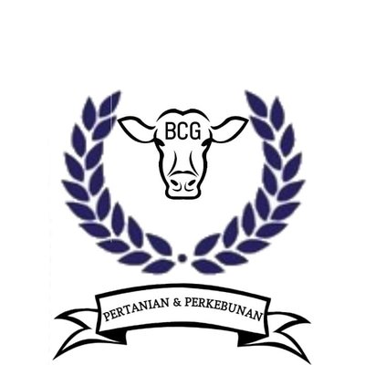 Trademark BCG + LOGO