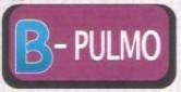 Trademark B-PULMO + Logo