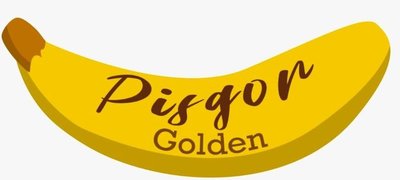 Trademark GOLDEN PISGOR