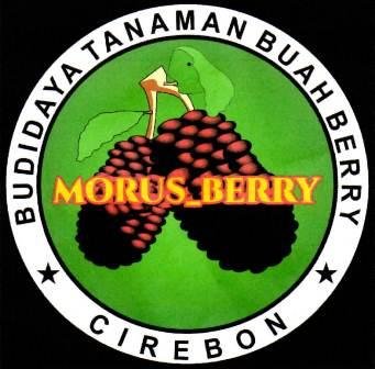 Trademark MORUS_BERRY + LUKISAN/ LOGO