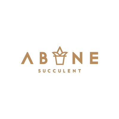 Trademark ABANE Succulent