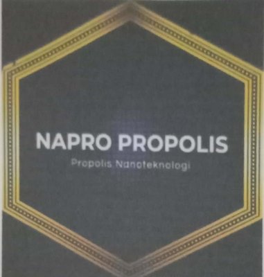 Trademark NAPRO PROPOLIS