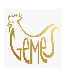 Trademark GEMES + logo