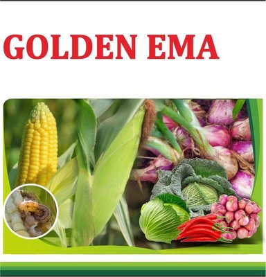 Trademark GOLDEN EMA