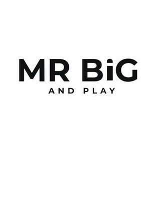 Trademark MR BIG AND PLAY