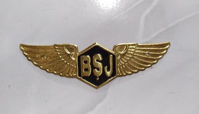 Trademark BSJ (BAHARI SANGKAR JAYA)