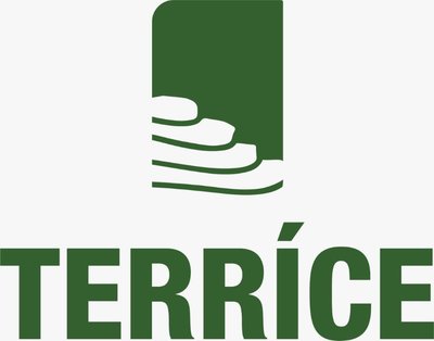 Trademark TERRICE + Logo