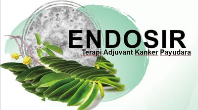 Trademark Endosir