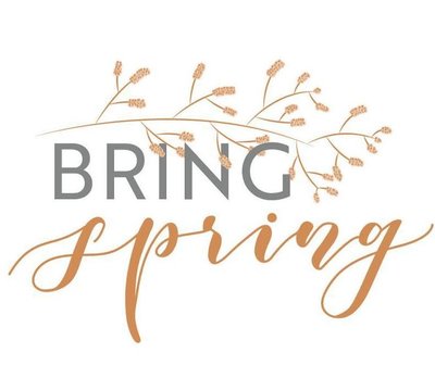 Trademark BRING SPRING