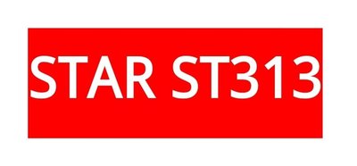 Trademark STAR ST313