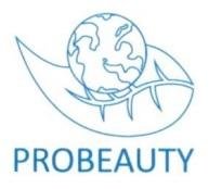 Trademark PROBEAUTY