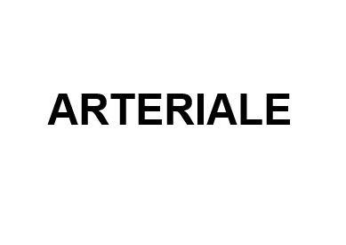 Trademark ARTERIALE