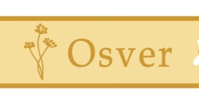 Trademark OSVER+logo