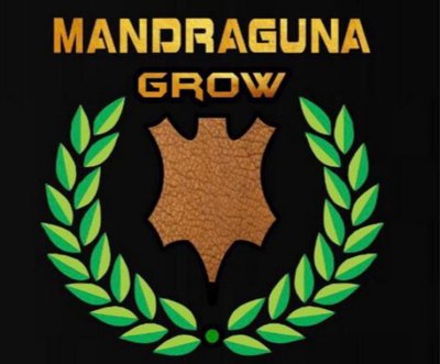 Trademark MANDRAGUNA GROW