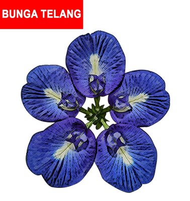 Trademark BUNGA TELANG