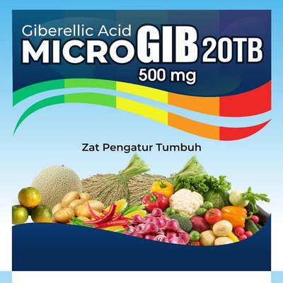 Trademark MicroGIB 20TB