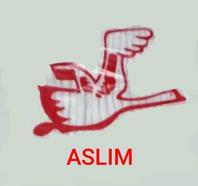 Trademark ASLIM