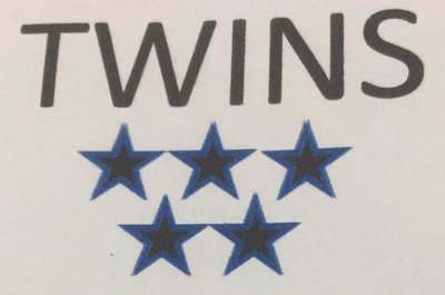 Trademark TWINS + LOGO