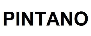 Trademark PINTANO
