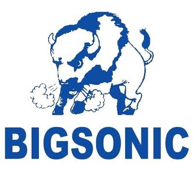 Trademark BIGSONIC + Lukisan