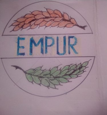 Trademark EMPUR