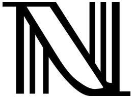 Trademark N logo