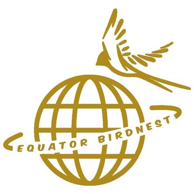 Trademark Equator Birdnest + LOGO