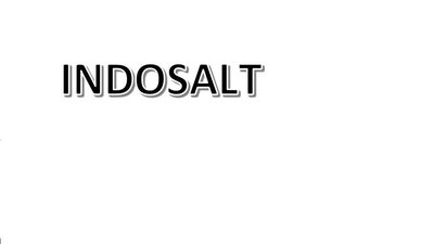 Trademark INDOSALT