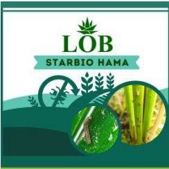 Trademark LOB Starbio Hama + Lukisan