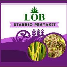 Trademark LOB Starbio Penyakit + Lukisan