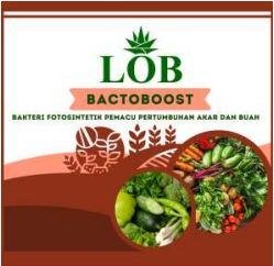 Trademark LOB Bactoboost + Lukisan