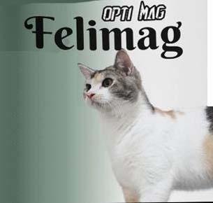 Trademark OPTI MAG Felimag + LUKISAN