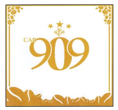 Trademark Cap 909