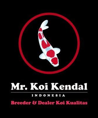 Trademark MR KOI KENDAL INDONESIA