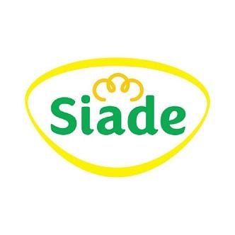 Trademark Siade + Logo