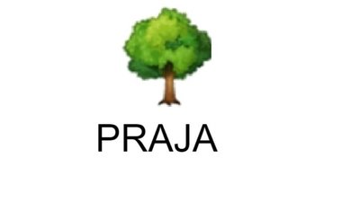 Trademark PRAJA