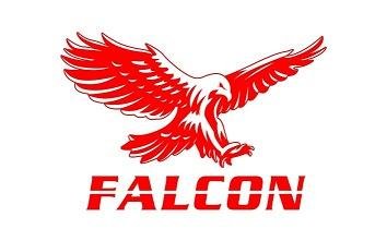 Trademark FALCON + LOGO