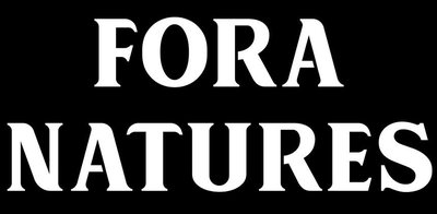 Trademark FORA NATURES