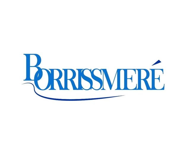 Trademark BORRISSMER