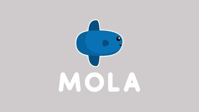 Trademark Logo MOLA