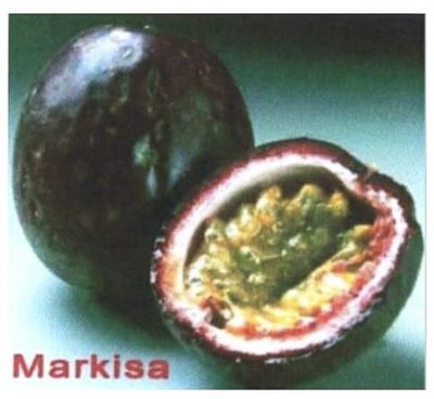 Trademark Markisa + Lukisan