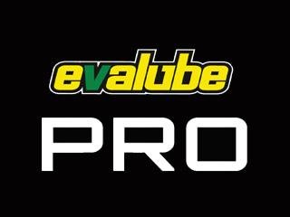 Trademark EVALUBE PRO