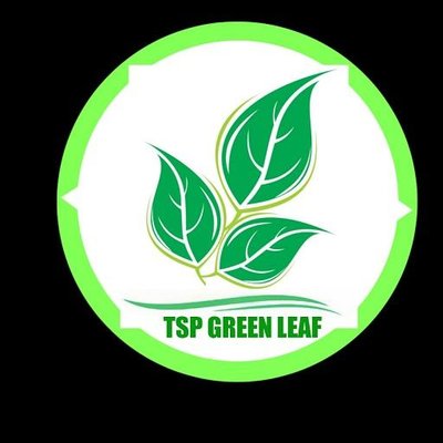 Trademark TSP GREEN LEAF