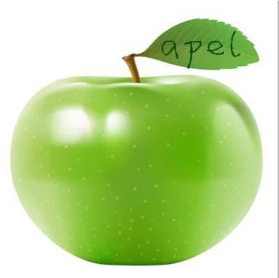 Trademark APEL