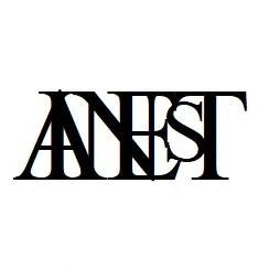 Trademark AINEST