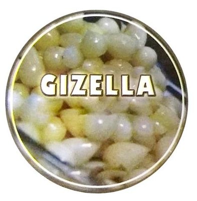 Trademark GIZELLA