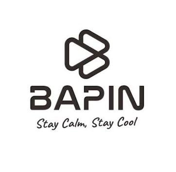 Trademark BAPIN